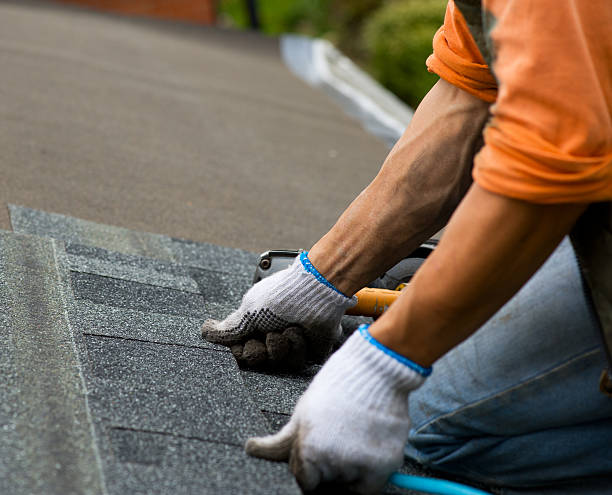 Best Roof Gutter Cleaning  in Fort Madison, IA